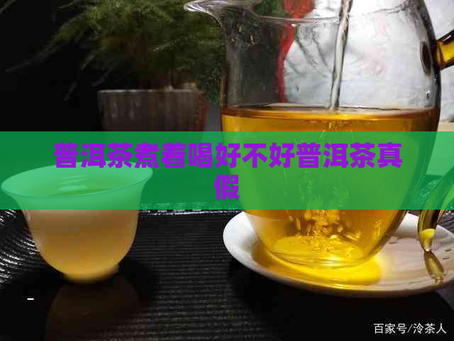 普洱茶煮着喝好不好普洱茶真假