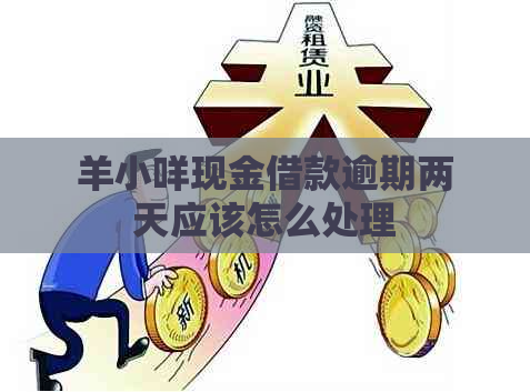 羊小咩现金借款逾期两天应该怎么处理