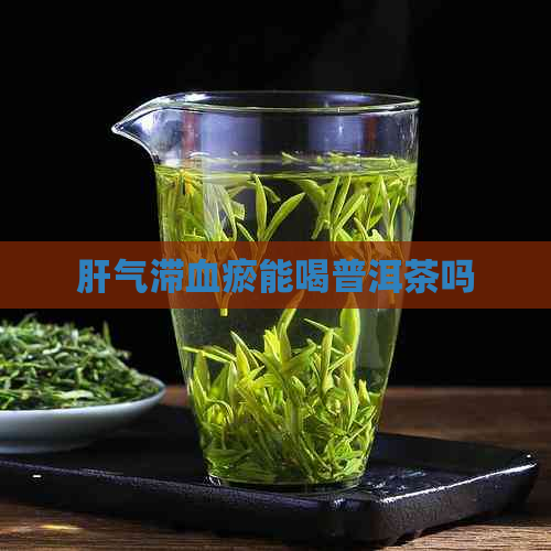 肝气滞血瘀能喝普洱茶吗