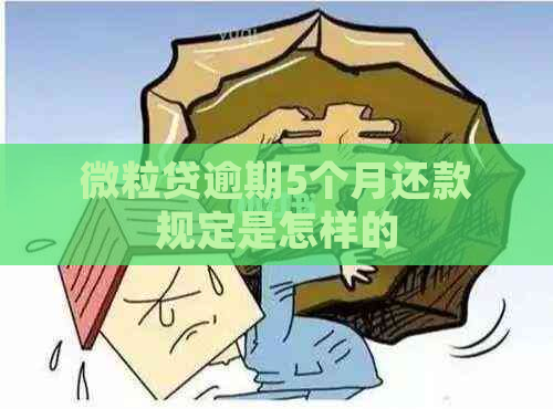 微粒贷逾期5个月还款规定是怎样的