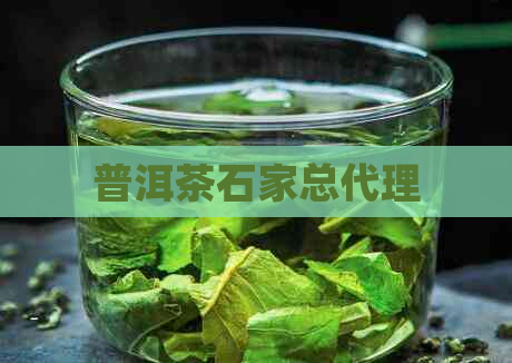 普洱茶石家总代理