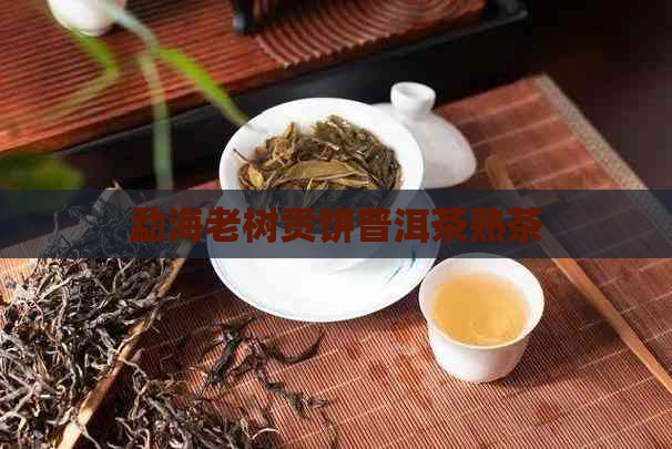 勐海老树贡饼普洱茶熟茶