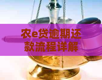 农e贷逾期还款流程详解