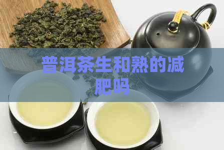 普洱茶生和熟的减肥吗