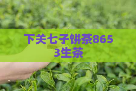 下关七子饼茶8653生茶