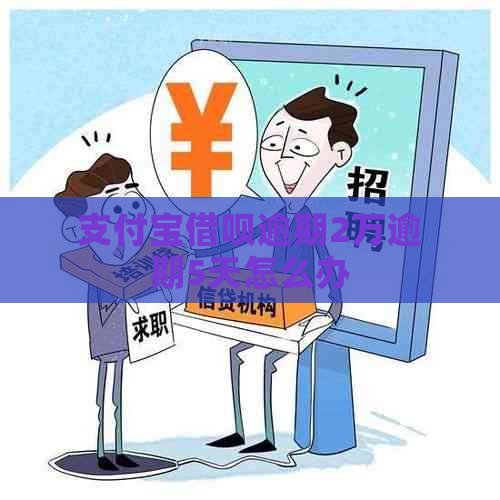 支付宝借呗逾期2万逾期5天怎么办