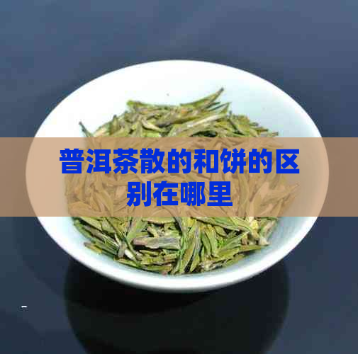 普洱茶散的和饼的区别在哪里