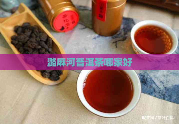 潞麻河普洱茶哪家好