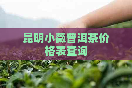 昆明小薇普洱茶价格表查询