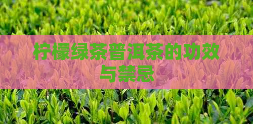 柠檬绿茶普洱茶的功效与禁忌