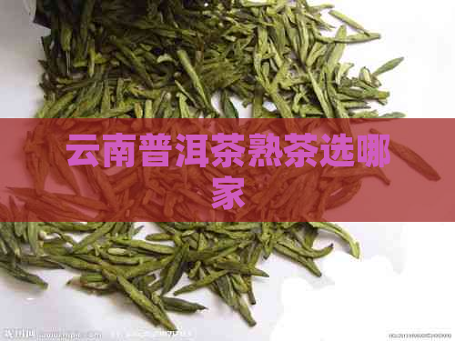 云南普洱茶熟茶选哪家