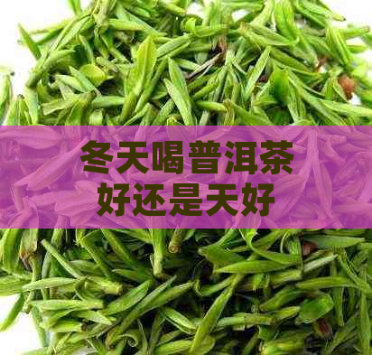 冬天喝普洱茶好还是天好