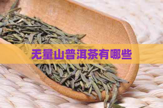 无量山普洱茶有哪些