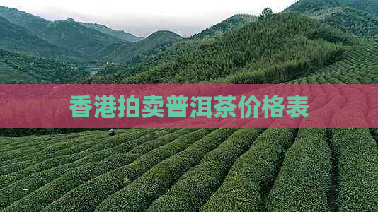 拍卖普洱茶价格表