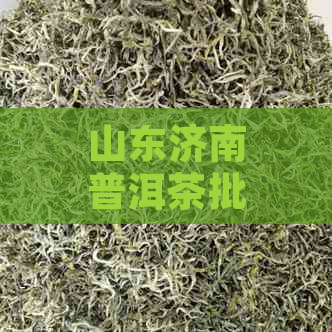 山东济南普洱茶批发