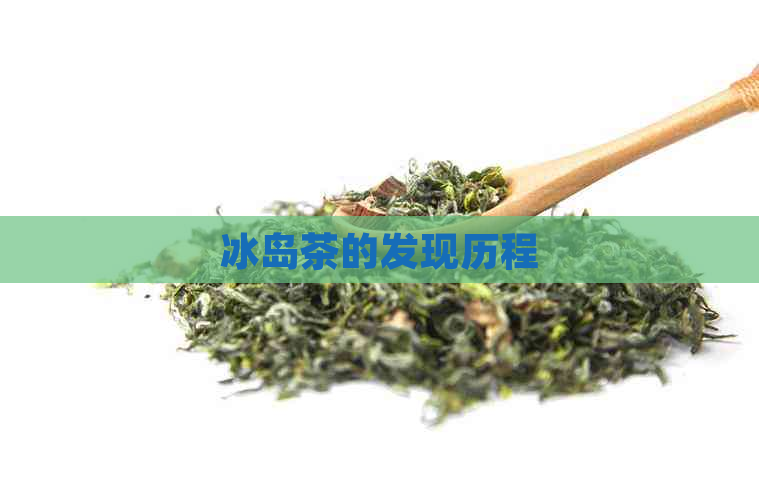 冰岛茶的发现历程