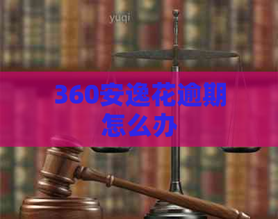 360安逸花逾期怎么办