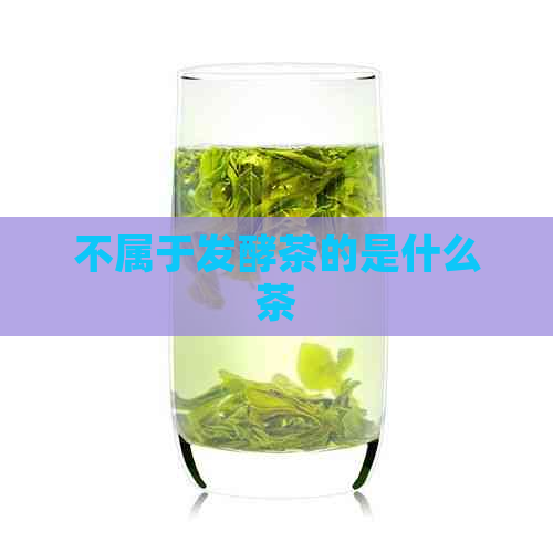 不属于发酵茶的是什么茶