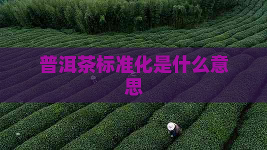 普洱茶标准化是什么意思