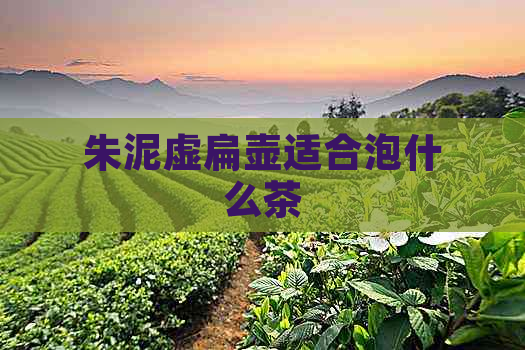 朱泥虚扁壶适合泡什么茶