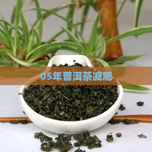 05年普洱茶减肥