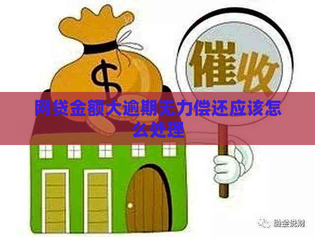 网贷金额大逾期无力偿还应该怎么处理