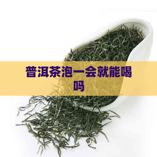 普洱茶泡一会就能喝吗