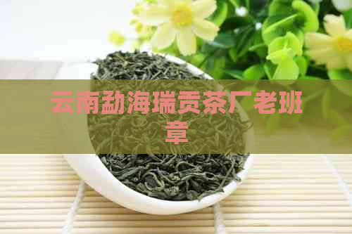 云南勐海瑞贡茶厂老班章