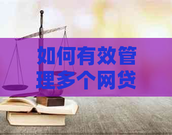 如何有效管理多个网贷账户以确保按时还款？