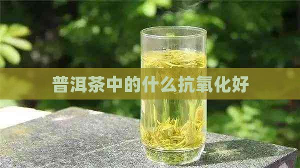 普洱茶中的什么抗氧化好