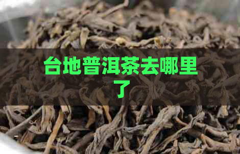 台地普洱茶去哪里了