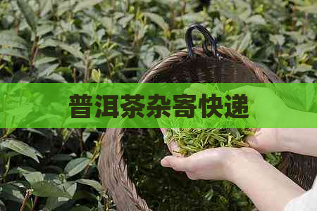 普洱茶杂寄快递