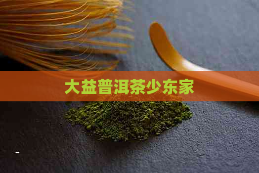 大益普洱茶少东家