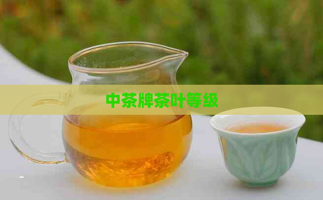 中茶牌茶叶等级