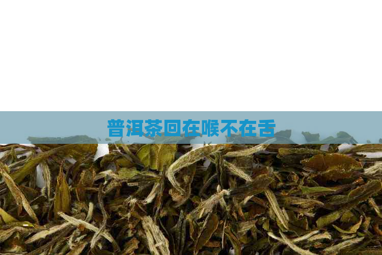 普洱茶回在喉不在舌