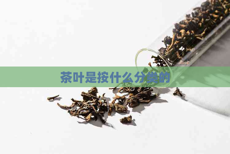 茶叶是按什么分类的