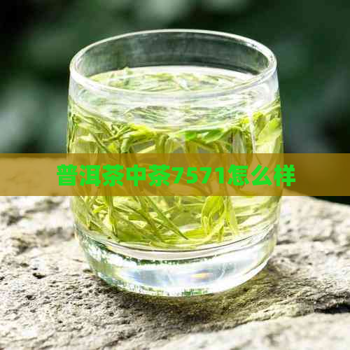 普洱茶中茶7571怎么样