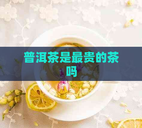 普洱茶是最贵的茶吗