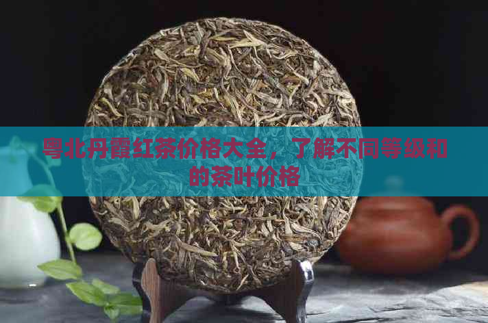 粤北丹霞红茶价格大全，了解不同等级和的茶叶价格