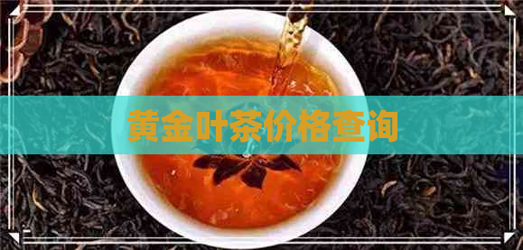 黄金叶茶价格查询