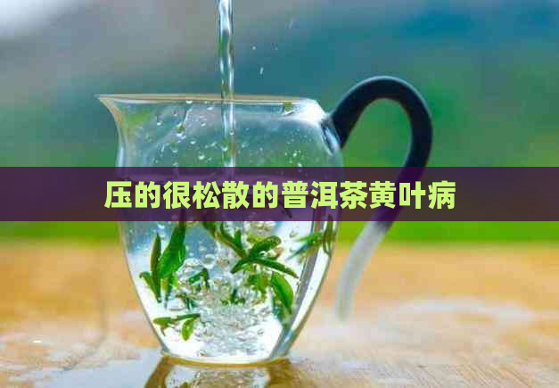 压的很松散的普洱茶黄叶病