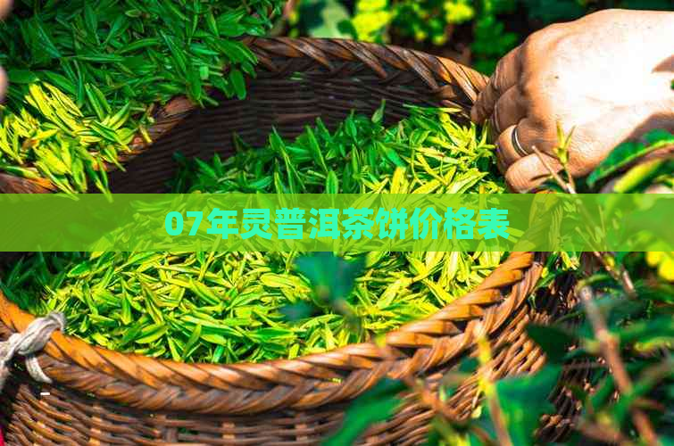 07年灵普洱茶饼价格表