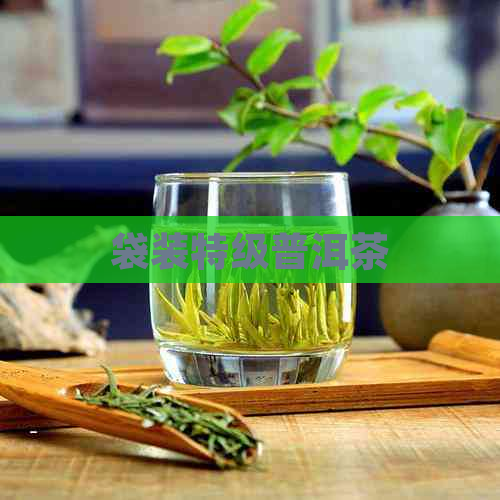 袋装特级普洱茶