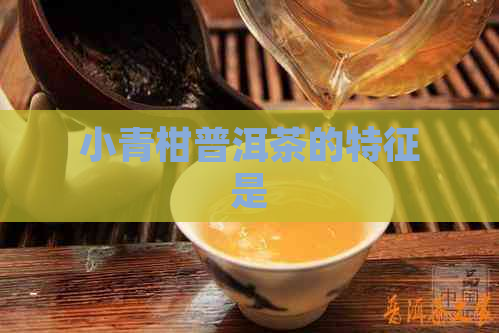 小青柑普洱茶的特征是