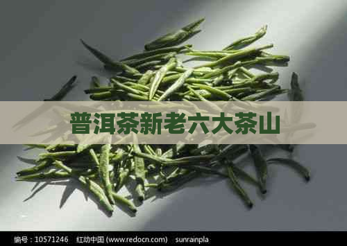 普洱茶新老六大茶山