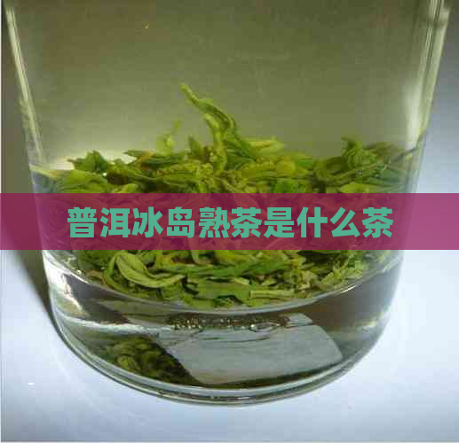 普洱冰岛熟茶是什么茶