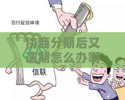 协商分期后又逾期怎么办啊