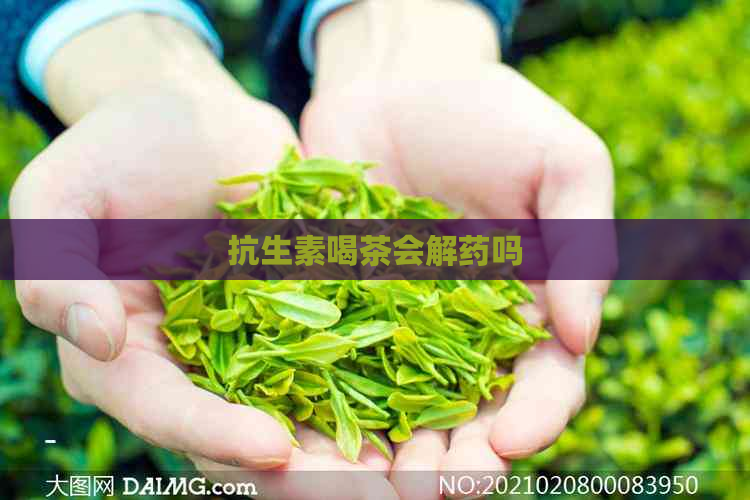 抗生素喝茶会解药吗