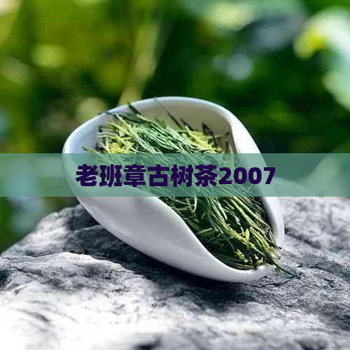 老班章古树茶2007