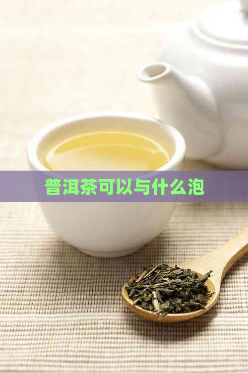 普洱茶可以与什么泡